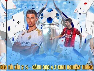 Bắt Kèo Tài Xỉu 2 ¼ - Cách Đọc & 3 Kinh Nghiệm Thắng Lớn
