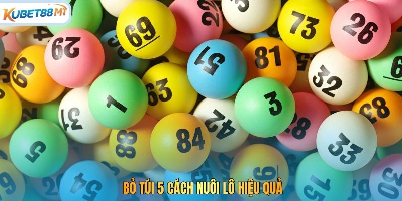 Bỏ túi 5 cách nuôi lô hiệu quả
