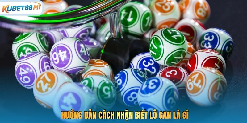 Hướng dẫn cách nhận biết lô gan là gì