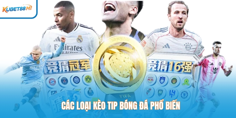 Các loại kèo tip bóng đá phổ biến